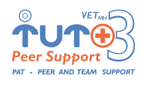 TuTo3 - Peer And Team